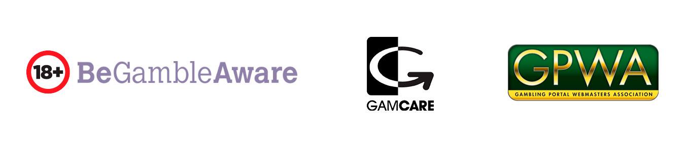 責任あるプレー 責任あるプレー